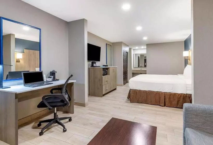 キングサイズベッドのスタンダードルーム, Best Western Plus Edinburg Inn & Suites