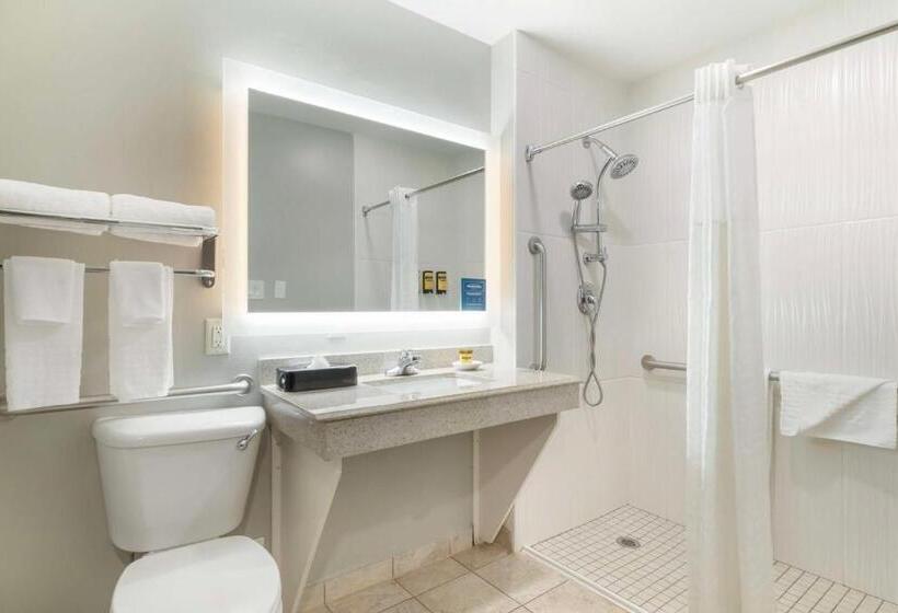 جناح لذوى الاحتياجات الخاصة, Best Western Plus Edinburg Inn & Suites