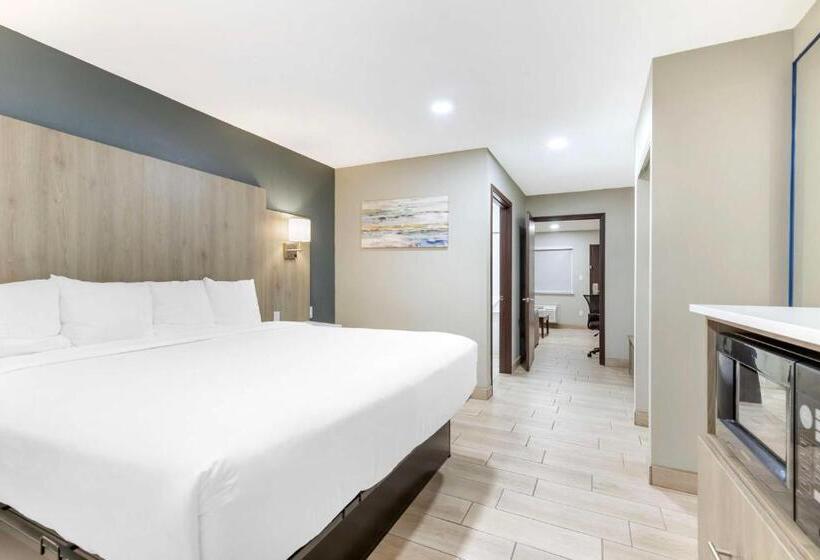 Люкс Адаптированный для Инвалидов, Best Western Plus Edinburg Inn & Suites