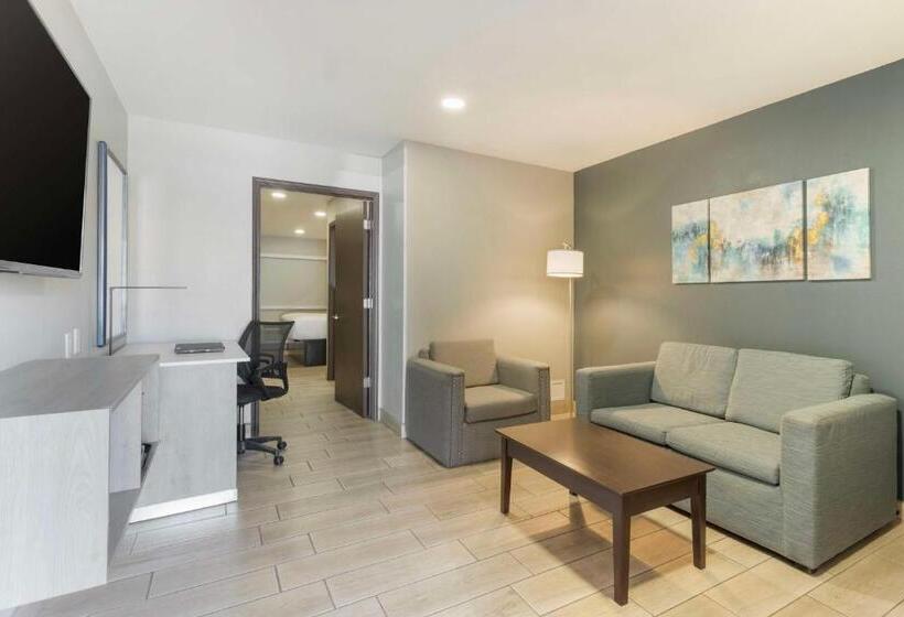 جناح لذوى الاحتياجات الخاصة, Best Western Plus Edinburg Inn & Suites