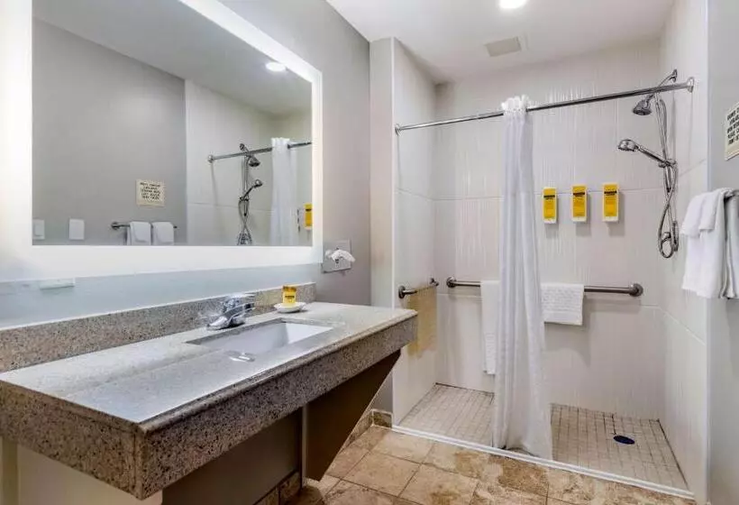 身障者適用キングサイズベッドルーム, Best Western Plus Edinburg Inn & Suites