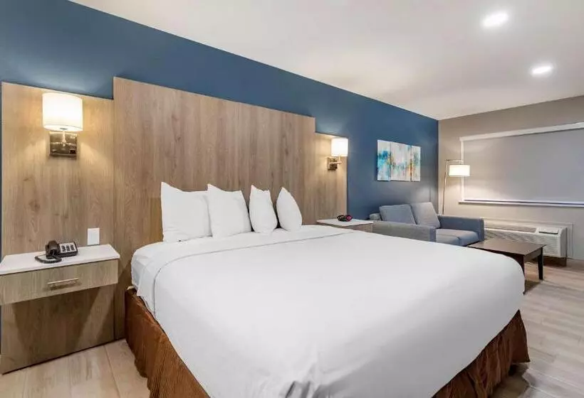 身障者適用キングサイズベッドルーム, Best Western Plus Edinburg Inn & Suites