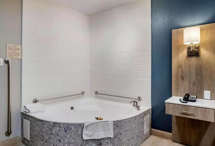 身障者適用キングサイズベッドルーム, Best Western Plus Edinburg Inn & Suites