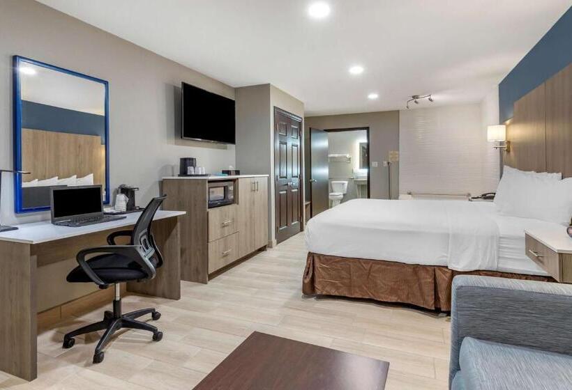 اتاق استاندارد با تخت بزرگ برای معلولان, Best Western Plus Edinburg Inn & Suites