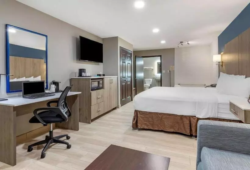 身障者適用キングサイズベッドルーム, Best Western Plus Edinburg Inn & Suites