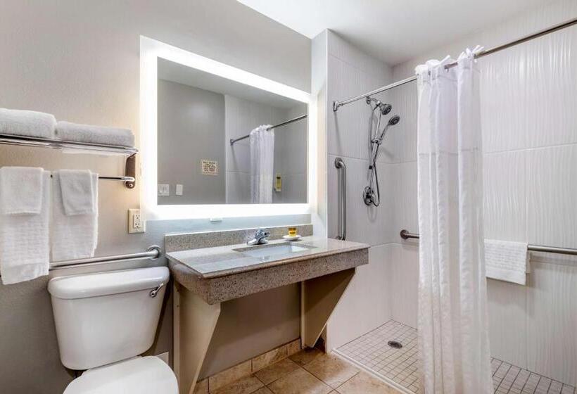غرفة قياسية سرير كينج لذوى الإحتياجات الخاصة, Best Western Plus Edinburg Inn & Suites