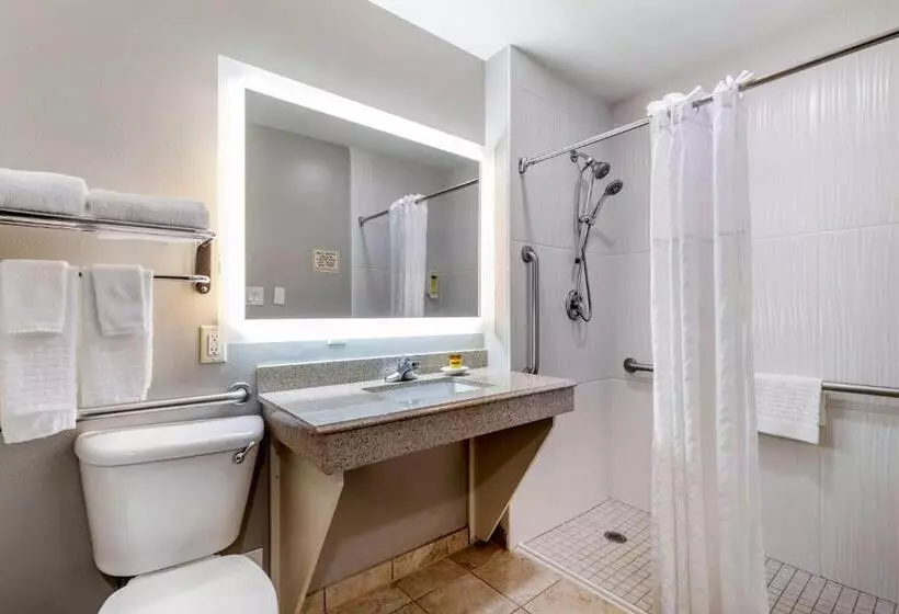 身障者適用キングサイズベッドルーム, Best Western Plus Edinburg Inn & Suites