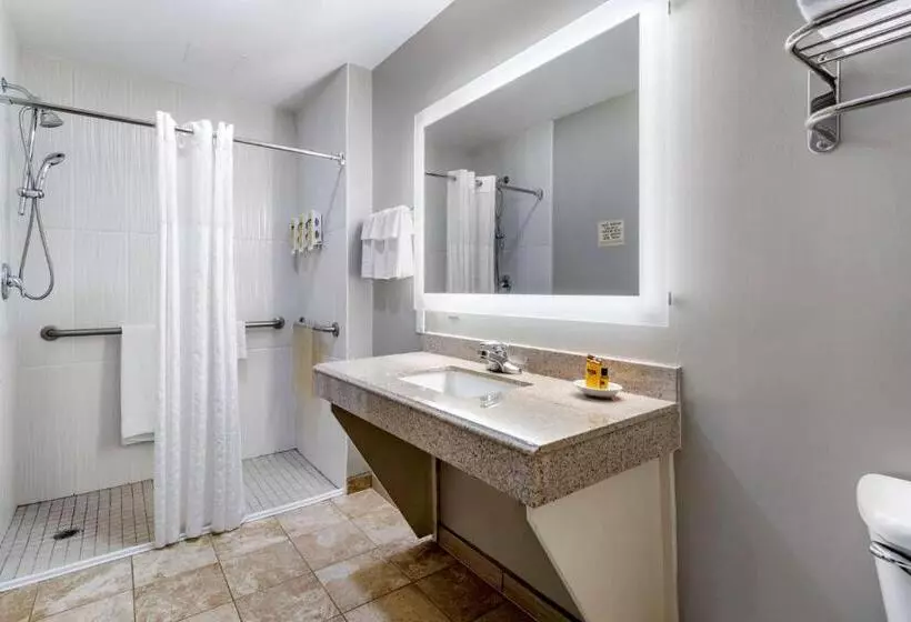 身障者適用スタンダードルーム, Best Western Plus Edinburg Inn & Suites