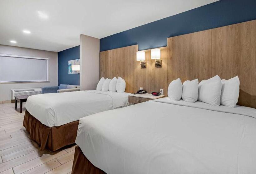 اتاق استاندارد برای معلولان, Best Western Plus Edinburg Inn & Suites