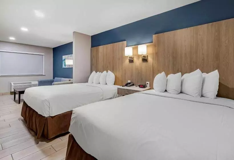 身障者適用スタンダードルーム, Best Western Plus Edinburg Inn & Suites