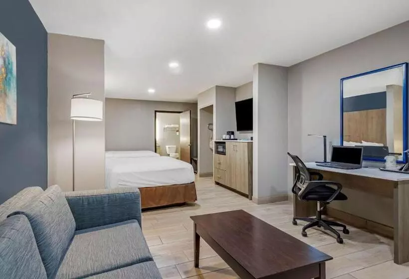 身障者適用スタンダードルーム, Best Western Plus Edinburg Inn & Suites