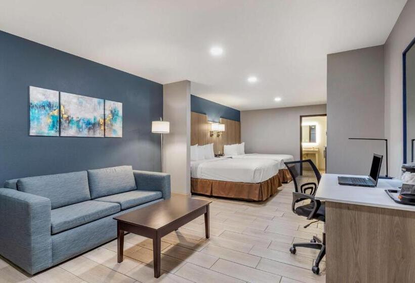 Номер Стандарт Адаптированный для Инвалидов, Best Western Plus Edinburg Inn & Suites