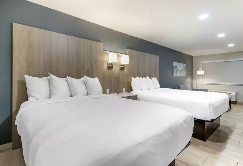 ジュニアスイート, Best Western Plus Edinburg Inn & Suites