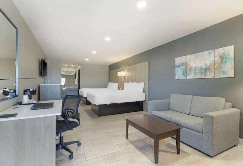 Полулюкс, Best Western Plus Edinburg Inn & Suites