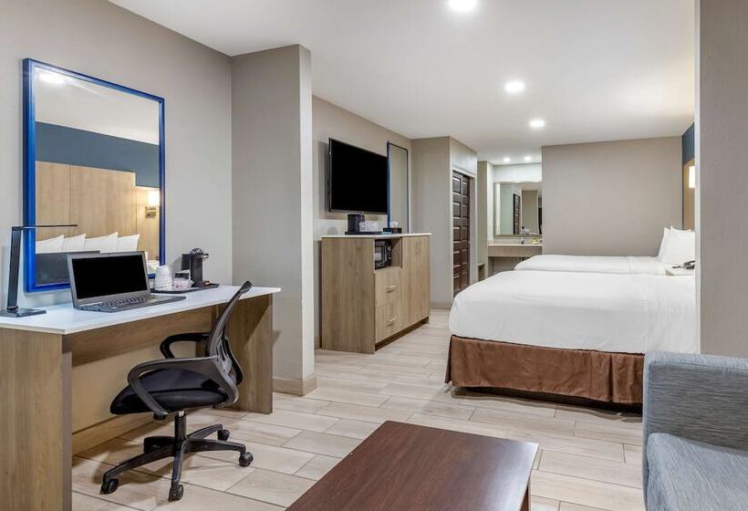 جناح جونيور, Best Western Plus Edinburg Inn & Suites