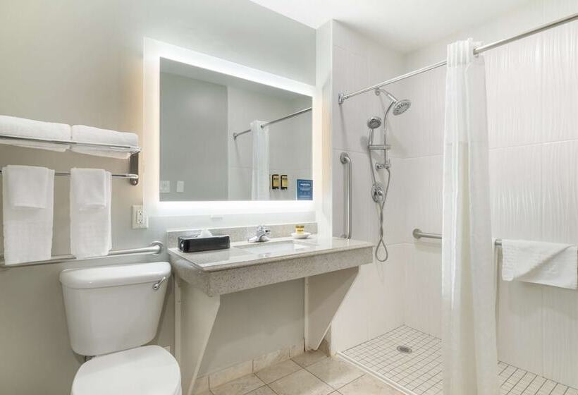 جناح لذوى الاحتياجات الخاصة, Best Western Plus Edinburg Inn & Suites