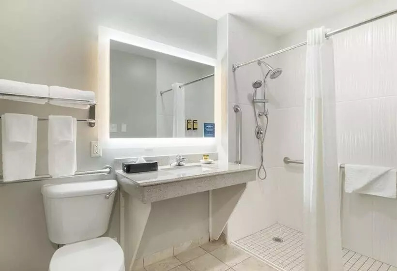 身障者適用スイートルーム, Best Western Plus Edinburg Inn & Suites