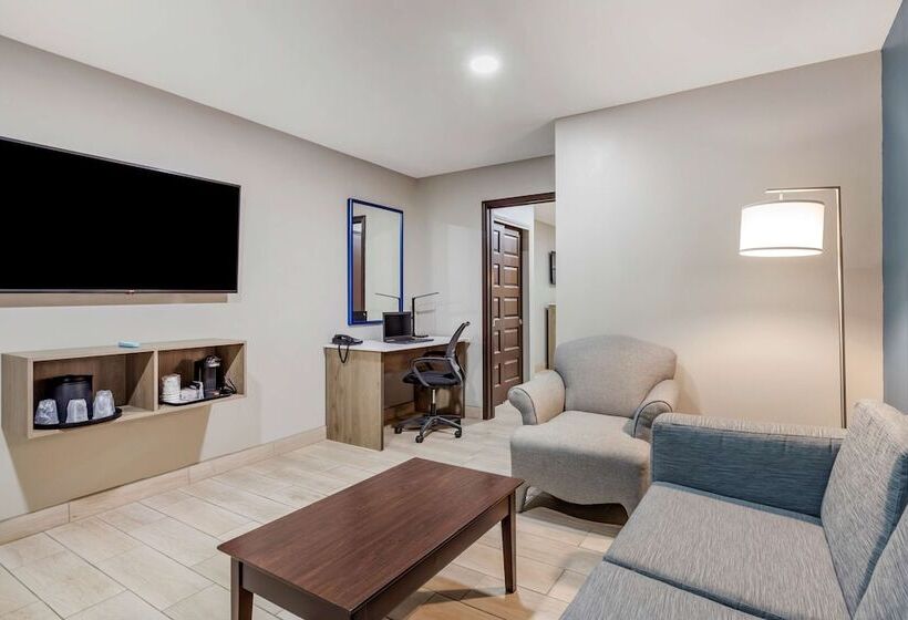 جناح لذوى الاحتياجات الخاصة, Best Western Plus Edinburg Inn & Suites