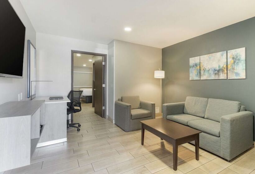 جناح لذوى الاحتياجات الخاصة, Best Western Plus Edinburg Inn & Suites