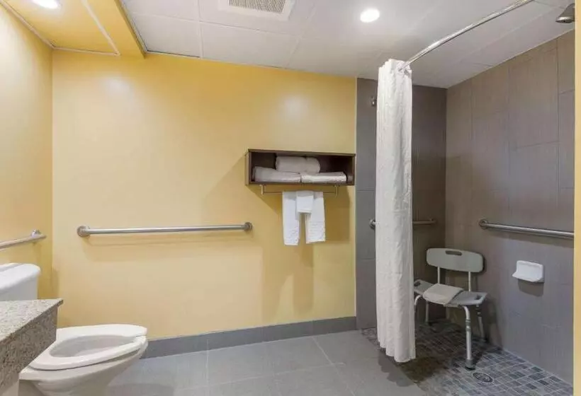 身障者適用スイートルーム, Best Western Plus Suitesgreenville