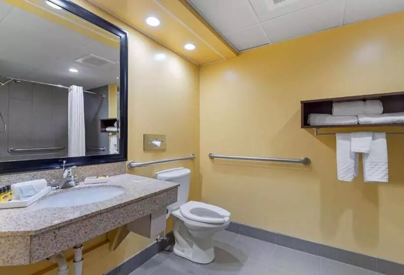 身障者適用スイートルーム, Best Western Plus Suitesgreenville