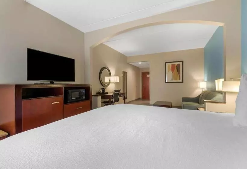 身障者適用スイートルーム, Best Western Plus Suitesgreenville