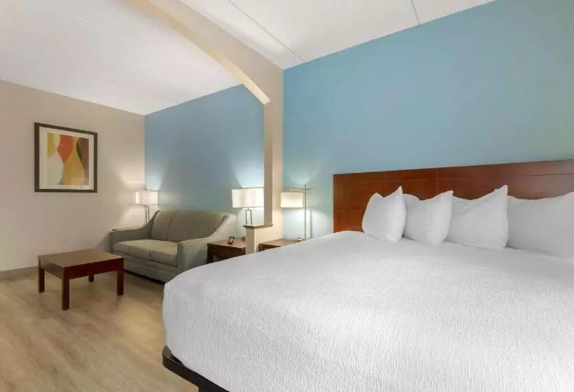 身障者適用スイートルーム, Best Western Plus Suitesgreenville