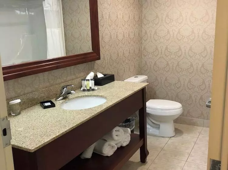 Standard-huone 2 Parivuodetta, Chateau Saint John Trademark Collection By Wyndham