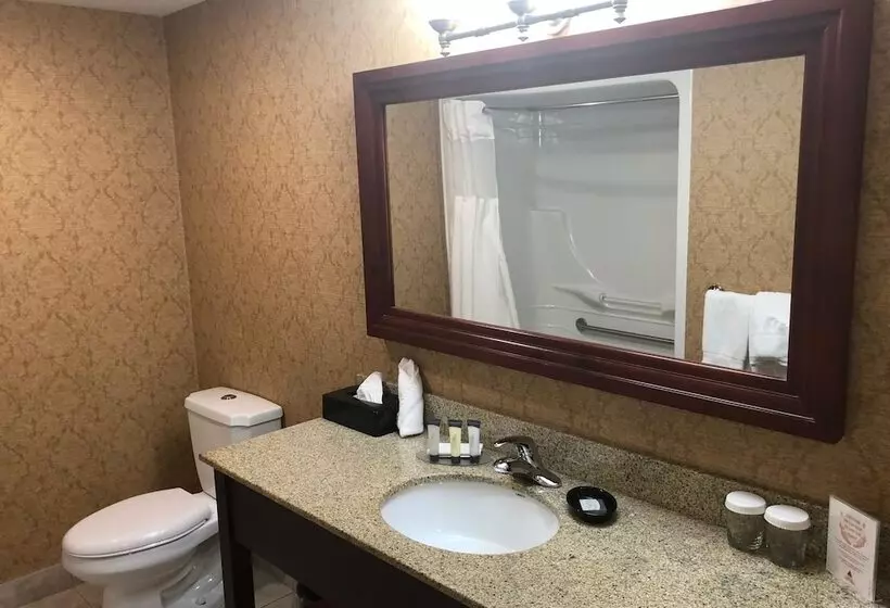 Standard-huone 2 Parivuodetta, Chateau Saint John Trademark Collection By Wyndham