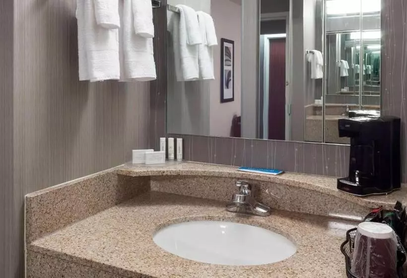 スタンダードルーム, Courtyard By Marriott Wichita East