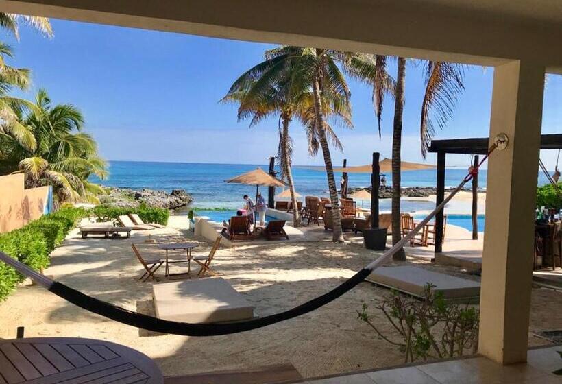 شقة غرفة واحدة, Playa La Media Luna