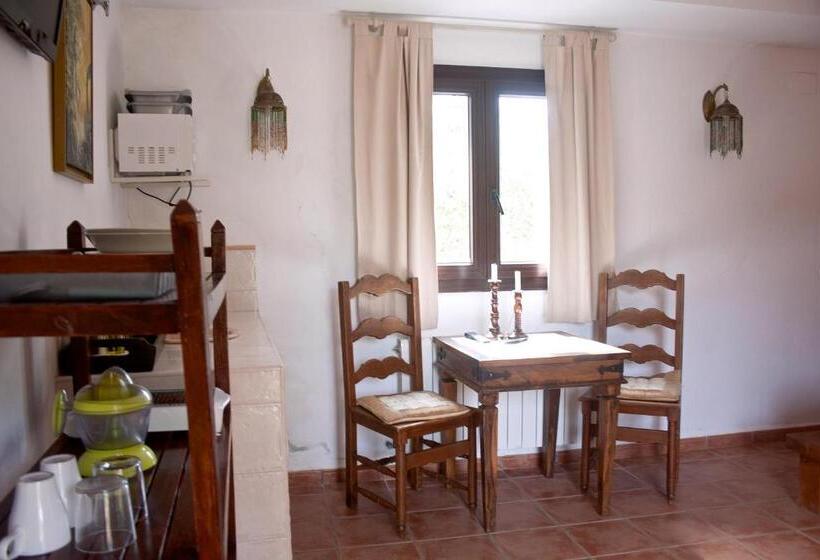 スタンダードルーム, Paraiso Perdido