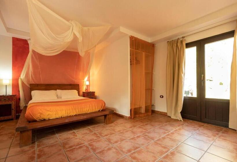 スタンダードルーム, Paraiso Perdido