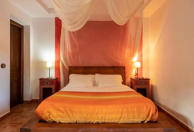 スタンダードルーム, Paraiso Perdido