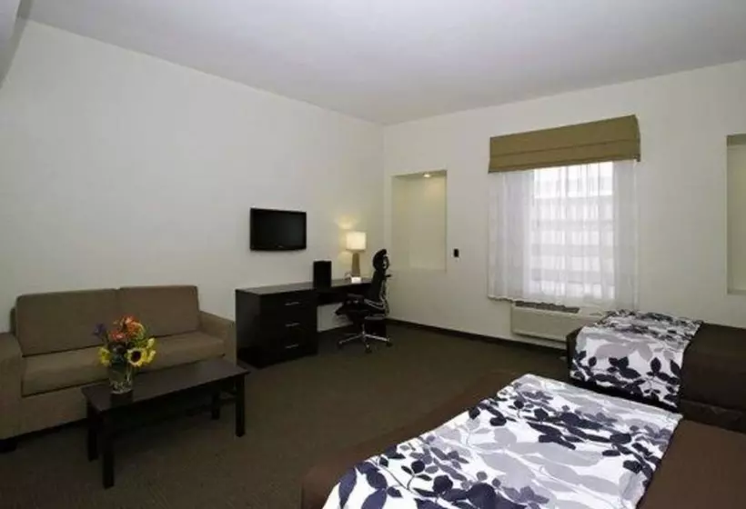 ２ダブルベッドのスタンダードルーム, Sleep Inn And Suites Downtown Inner Harbor