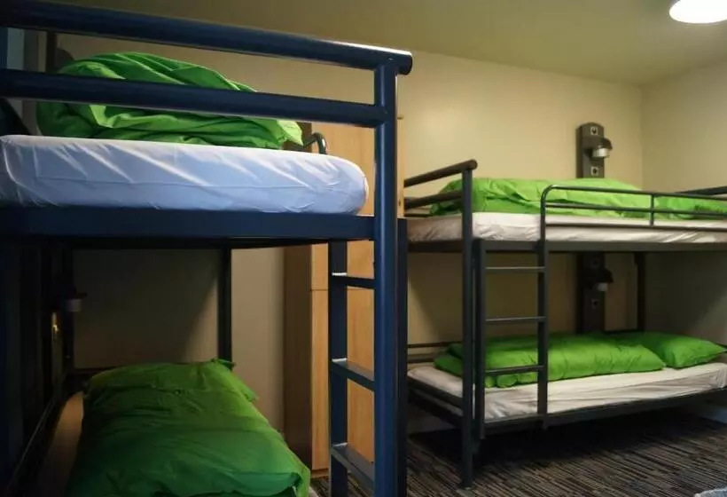 Bed in Shared Room with Shared Bathroom, Yha Cambridge