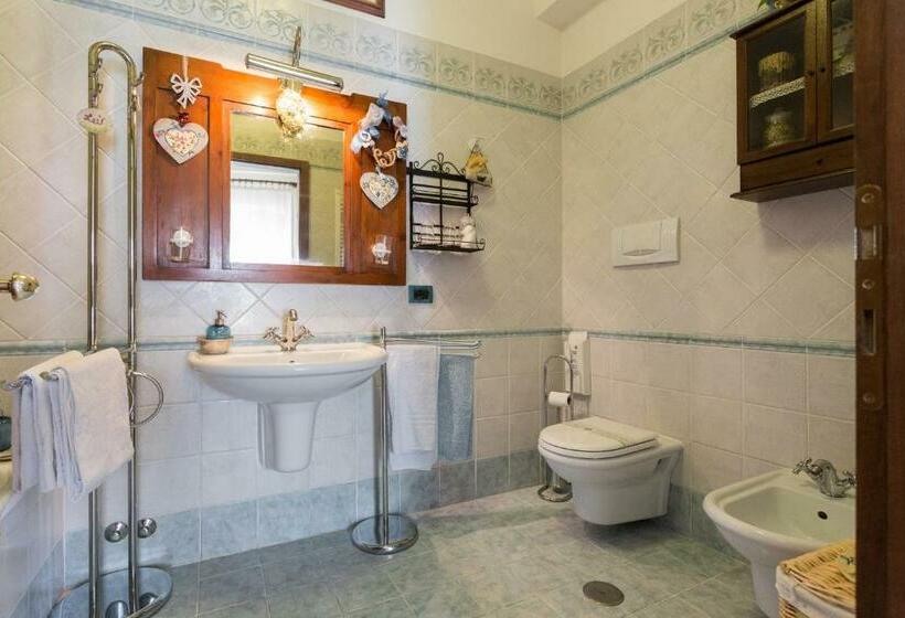 Номер Стандарт, B&b New Day