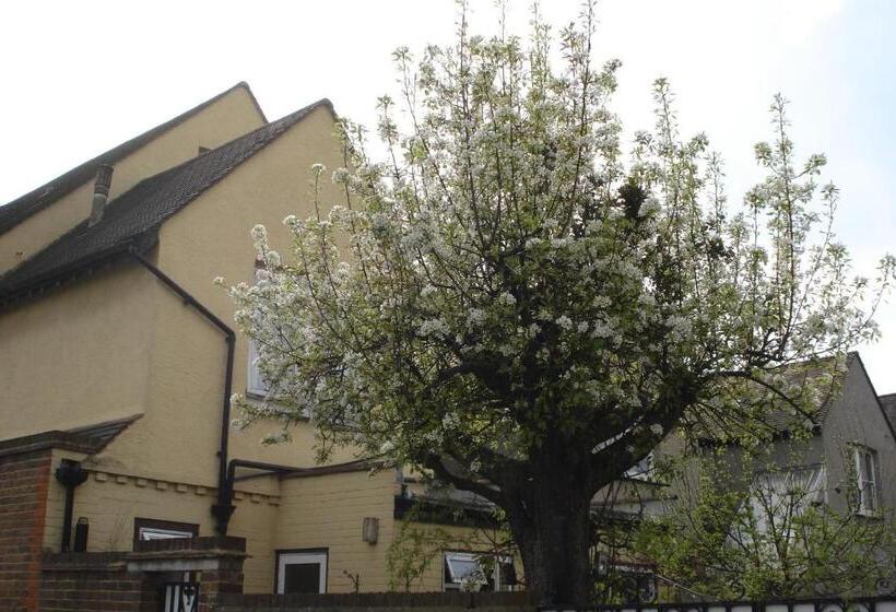 מיטה בחדר משותף, Compton Guest House