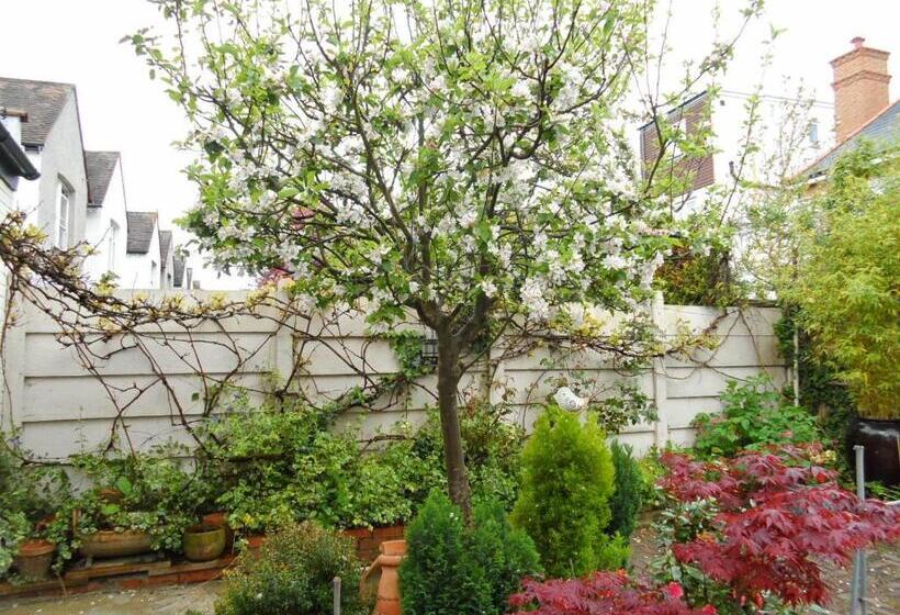 חדר משפחתי, Compton Guest House