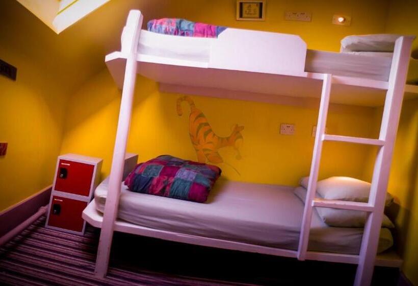 共用房间的床, Castle Rock Hostel   Adults Only