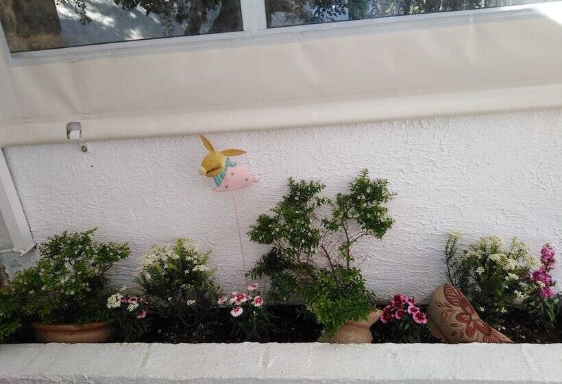 غرفة قياسية مطلّة علي البحر, Antigoni