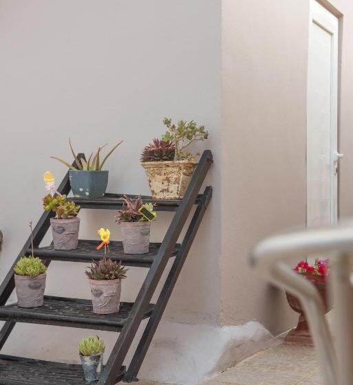 غرفة قياسية مطلّة علي الحديقة, Antigoni