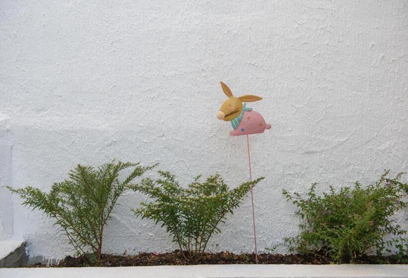 غرفة قياسية مطلّة علي الحديقة, Antigoni