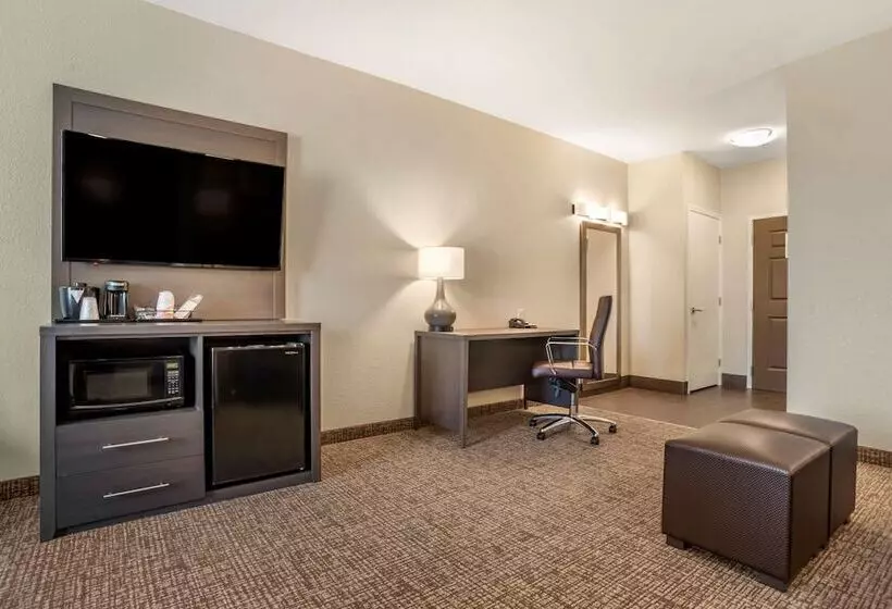 身障者適用スイートルーム, Comfort Inn & Suites Millbrookprattville
