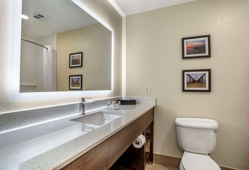 סוויטה מותאמת לאדם עם מוגבלויות, Comfort Inn & Suites Millbrookprattville