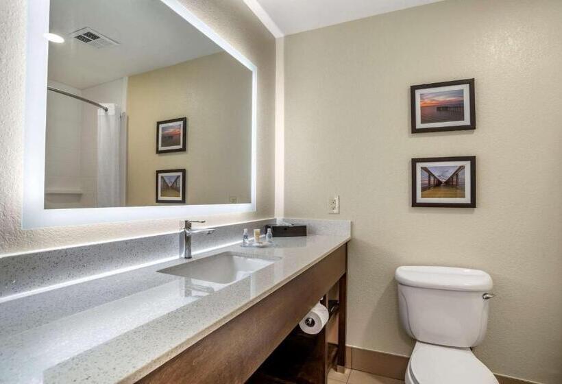 חדר סטנדרט עם מיטת קינג, Comfort Inn & Suites Millbrookprattville