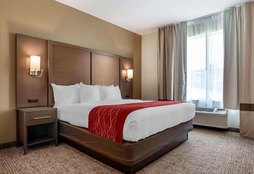 מיטת קינג בסוויטה, Comfort Inn & Suites Millbrookprattville
