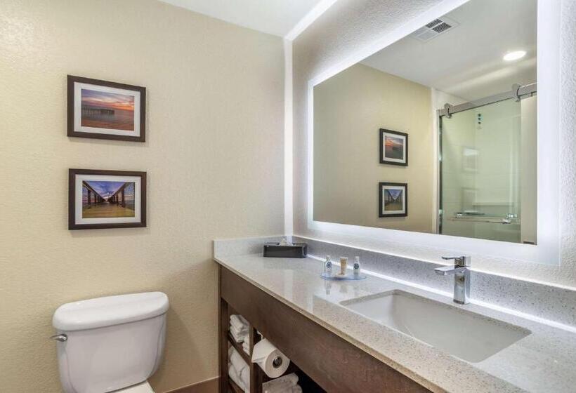 מיטת קינג בסוויטה, Comfort Inn & Suites Millbrookprattville