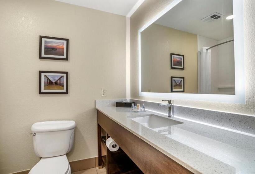 חדר סטנדרט, Comfort Inn & Suites Millbrookprattville