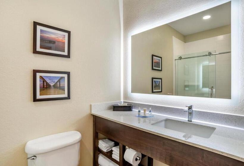 סוויטה מותאמת לאדם עם מוגבלויות, Comfort Inn & Suites Millbrookprattville